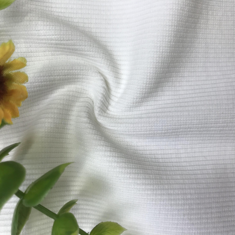 Cotton And Recycle Polyester 2*2 Rib Fabric